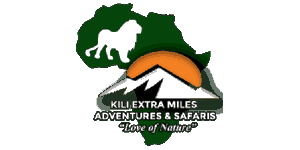 Kili Extra Miles Adventure and Safaris