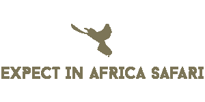 Expect In Africa Safari Logo