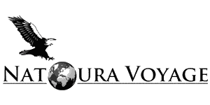 Natoura Voyage Logo