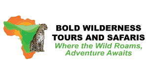 Bold Wilderness Tours and Safaris Logo