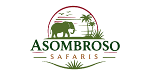 Asombroso Safaris Logo