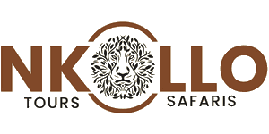 Nkollo Tours & Safaris logo