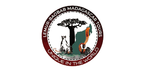 Lemur-baobab Madagascar Tours Logo