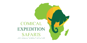 Comical Expedition Safaris Logo