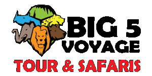Big Five Voyage Logo