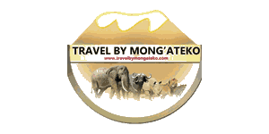 Travel By Mong`ateko  Logo
