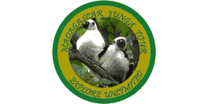 Madagascar Junga Tour Logo