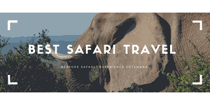 Best Safari Travel 