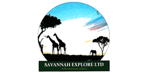 Savannah Explore Logo