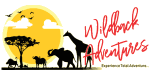 Wildback Adventures