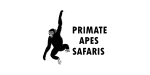 Primate  Ape Safaris Africa