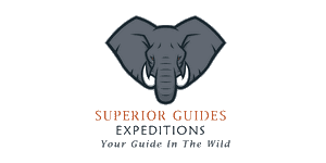 Superior Guides Expeditions
