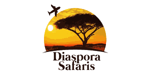 Dachsam Diaspora Tours And Travel Limited Logo