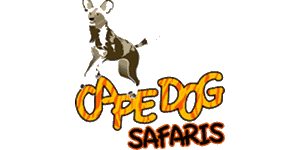 Cape Dog Safaris