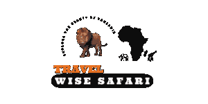 Wise Safari Tanzania logo