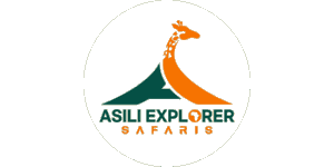 Asili Explorer Safaris Asili Explorer Safaris