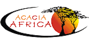 Acacia Africa Logo