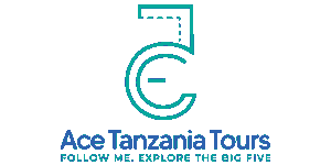 Ace Tanzania Tours Logo