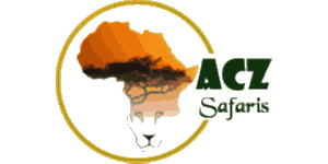 African Comfort Zone Safaris