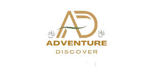 Adventure Discover Logo