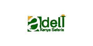 Adeli Kenya Safaris 