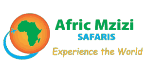 Afric Mzizi Safaris Logo