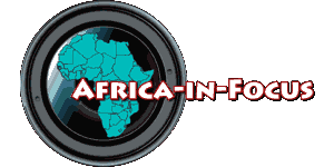 Africa-in-Focus Logo