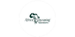 Africa Incoming Adventures Logo