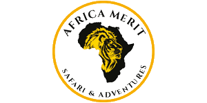 Africa Merit Safaris
