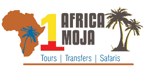 Africa Moja Tours and Transfers