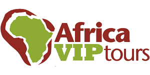Africa VIP tours Logo