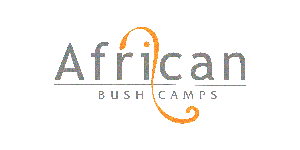 African Bush Camps