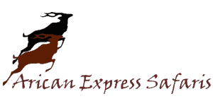 African Express Safaris Logo