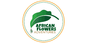 African Flowers Adventures