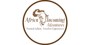 Africa Incoming Adventures Logo