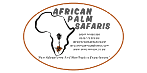 African Palm Safaris Logo