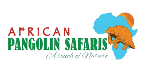 African Pangolin Safaris logo