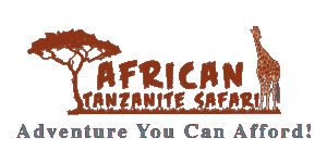 African Tanzanite Safari logo