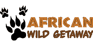 African Wild Getaway