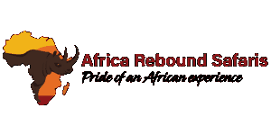 Africa Rebound Safaris logo