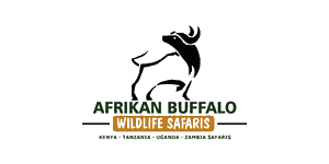 Afrikan Buffalo Wildlife Safaris Logo