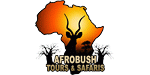 Afrobush Tours & Safaris