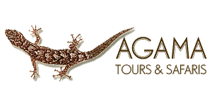 Agama Tours and Safaris