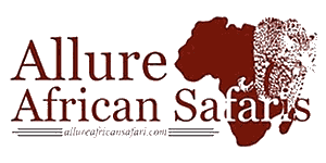 Allure African Safaris Logo