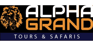 Safari Dot Alpha Grand Logo