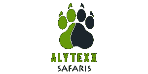Alytexx Safaris