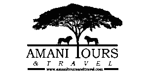 Amani Tours and Travel
