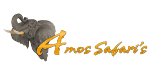 Amos Safaris