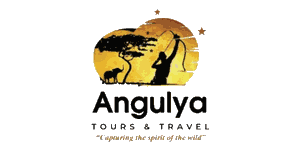 Angulya Tours and Travel Logo