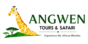 Angwen Tours and Safaris Logo